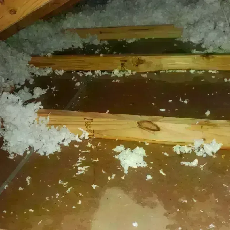 Attic Water Damage in Clinton, ME